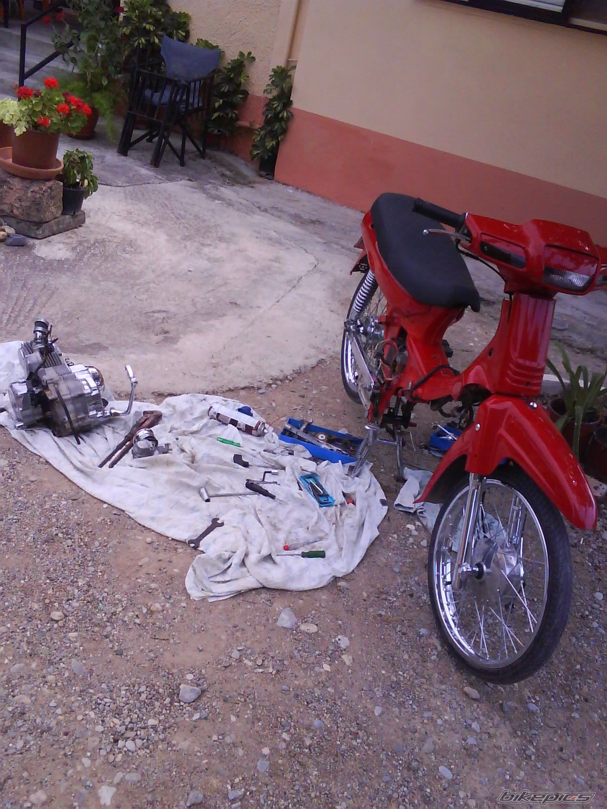 Photo 1784604