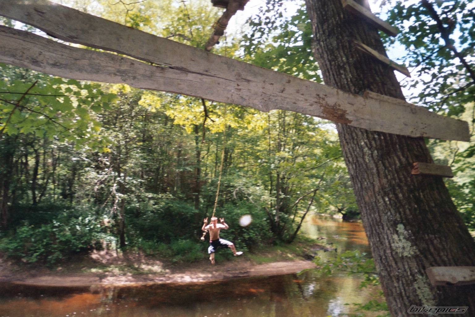 Photo 178486