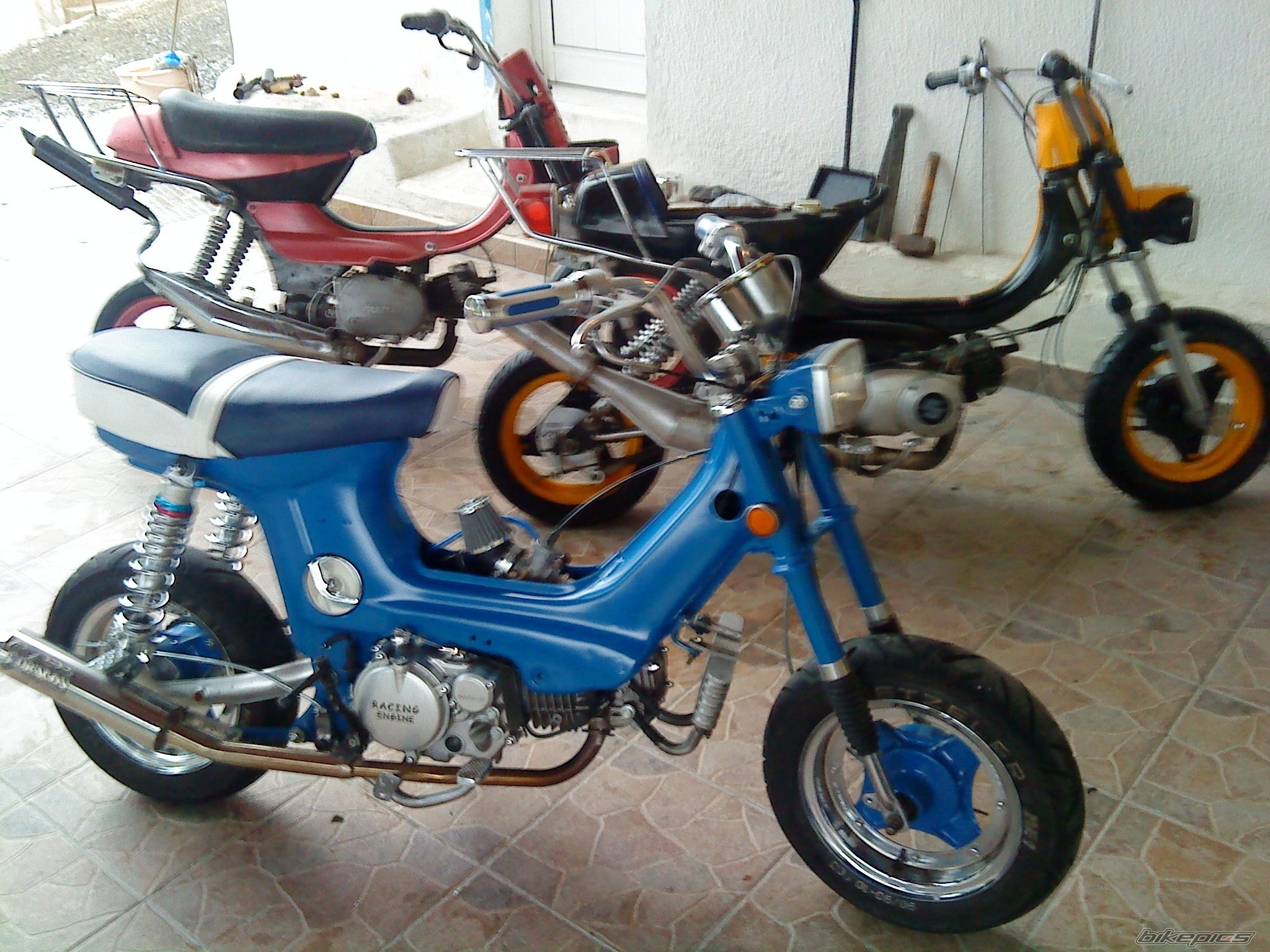 Photo 1785065