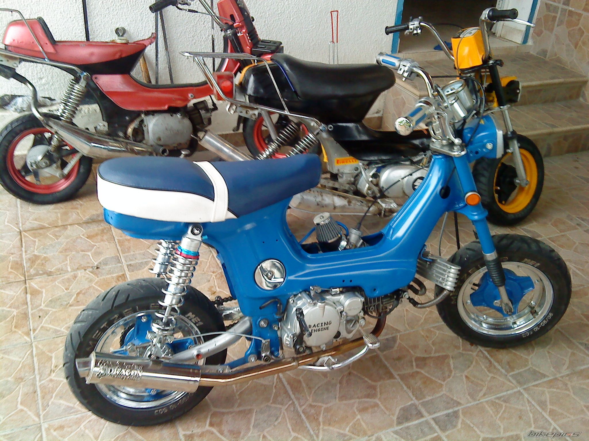 Photo 1785069