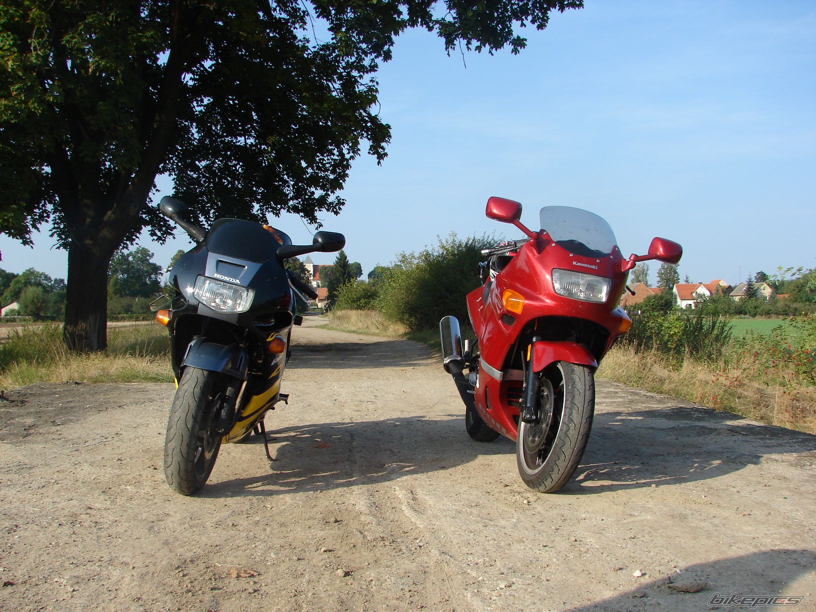 Photo 1785199