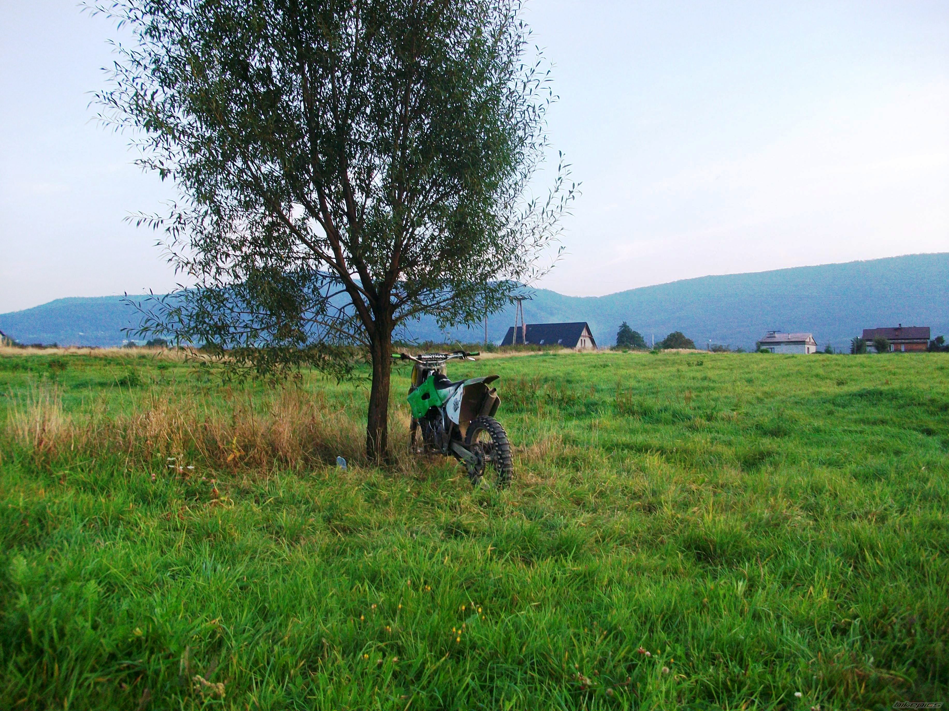Bike Photo 1785219