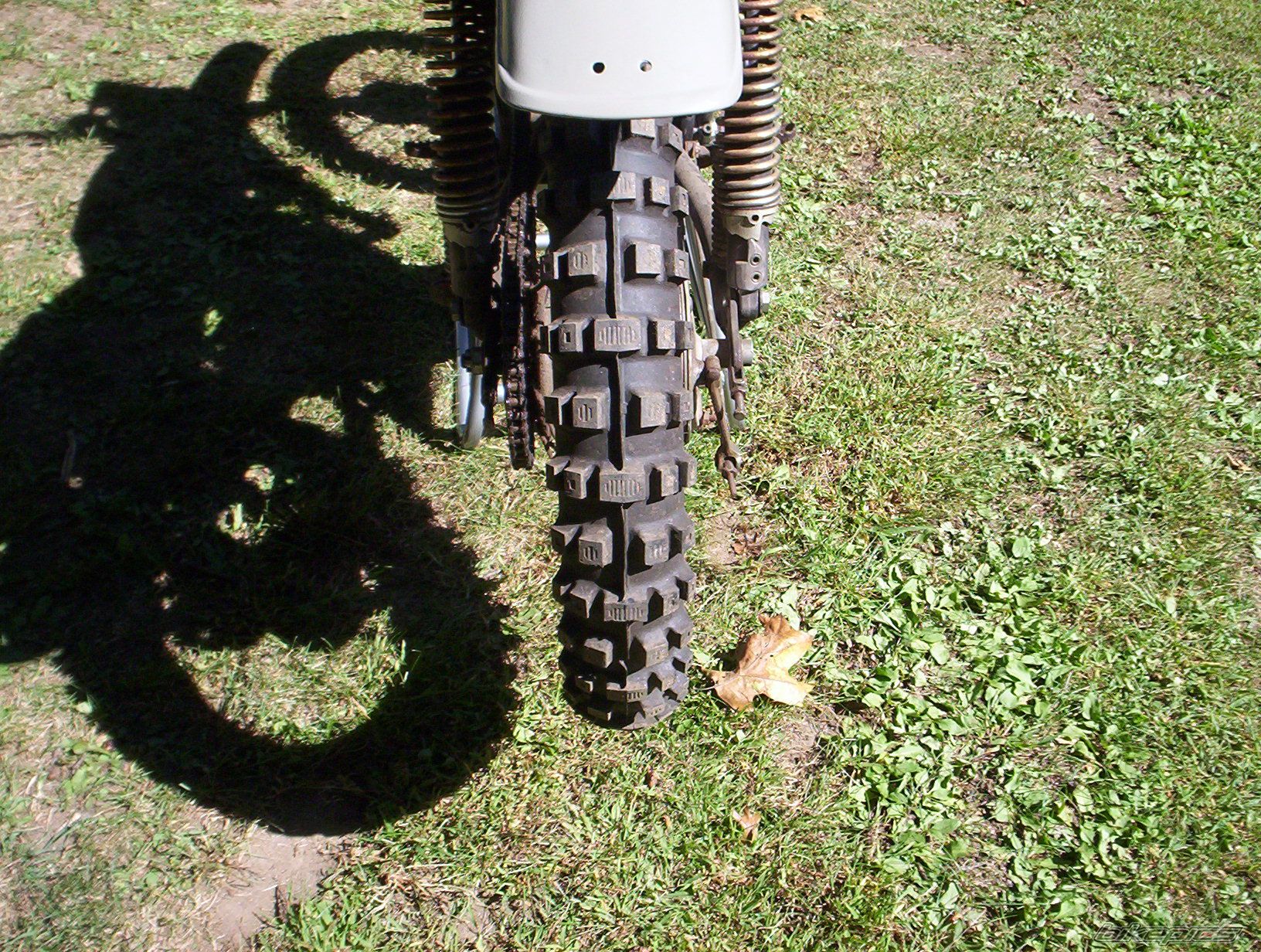 Photo 1785384