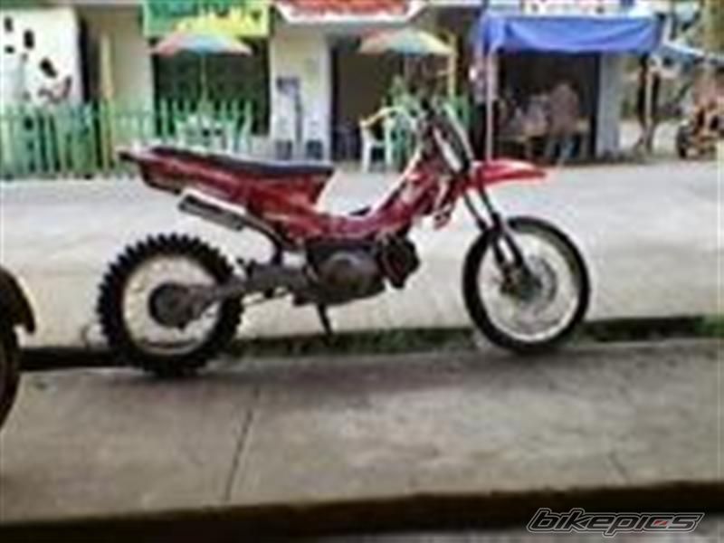 Photo 1785402