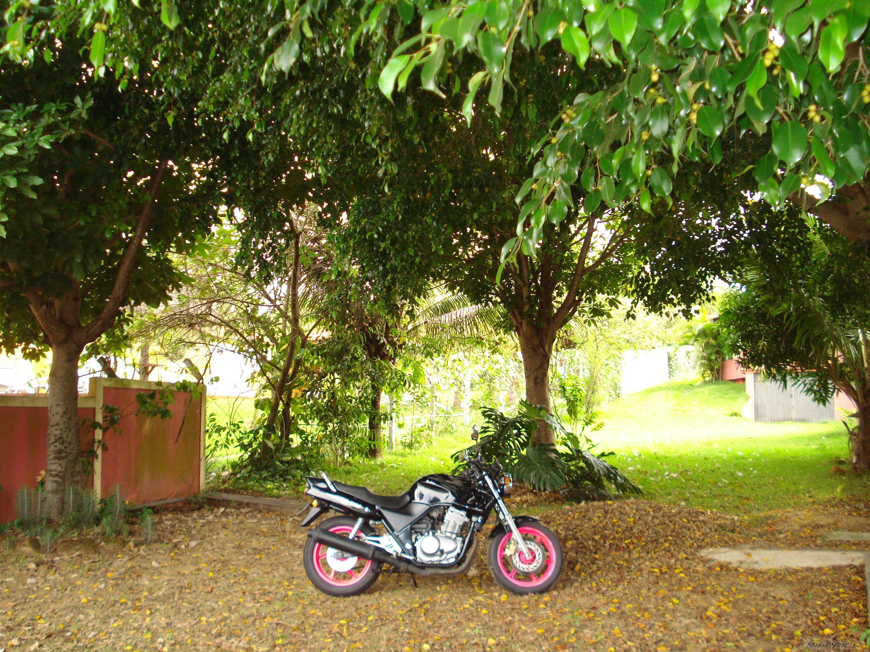 Bike Photo 1785405