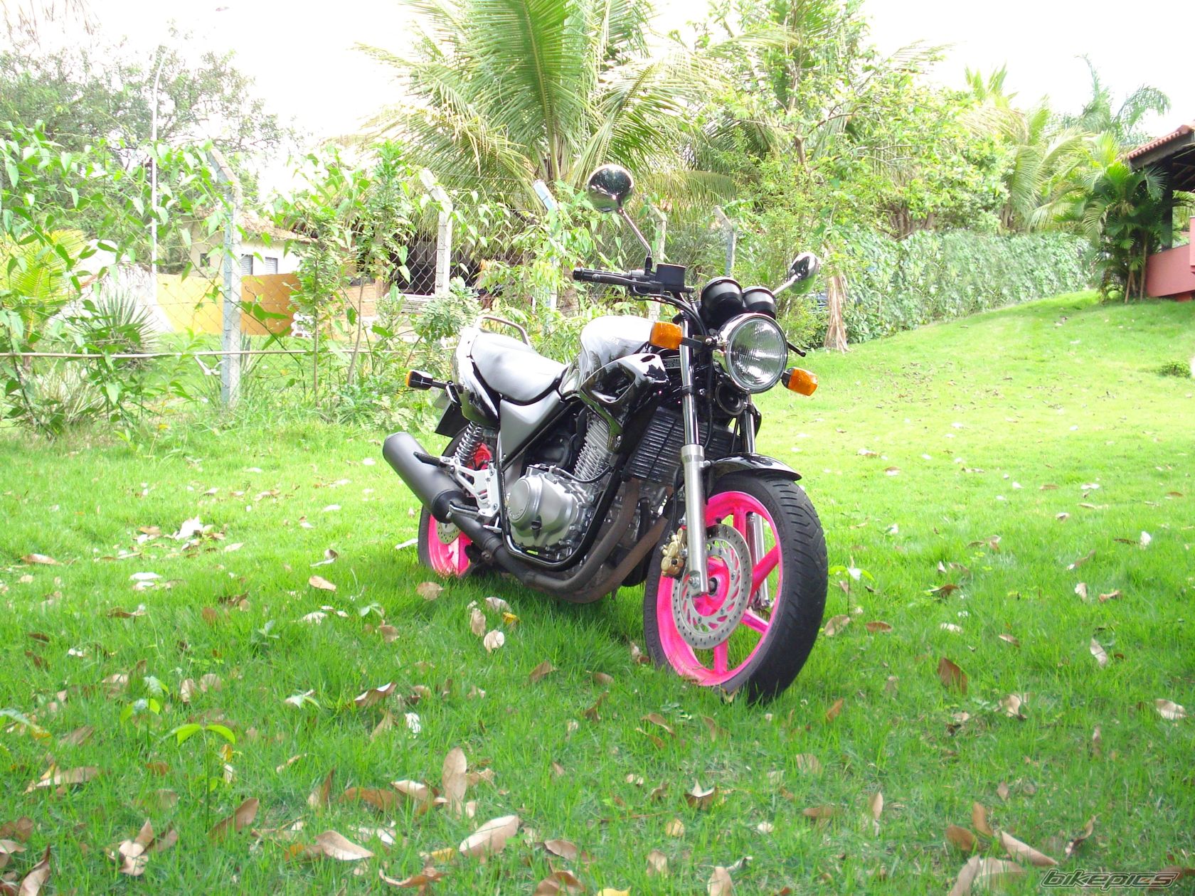 Photo 1785406
