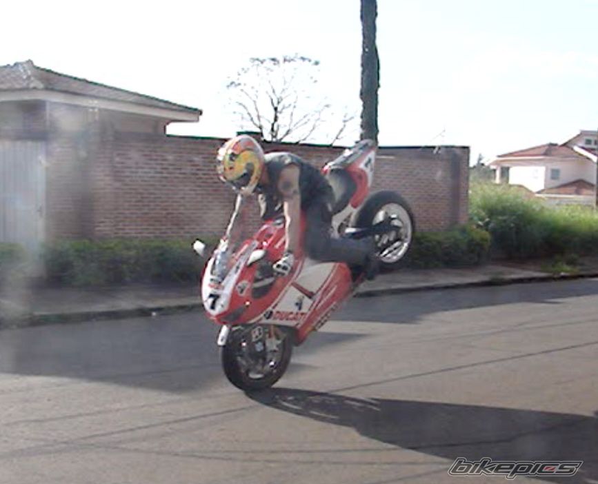 Photo 1785426