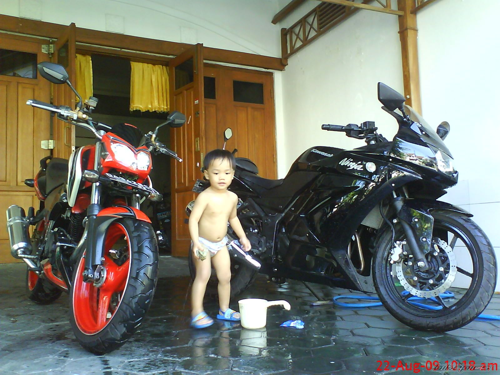 Photo 1785429