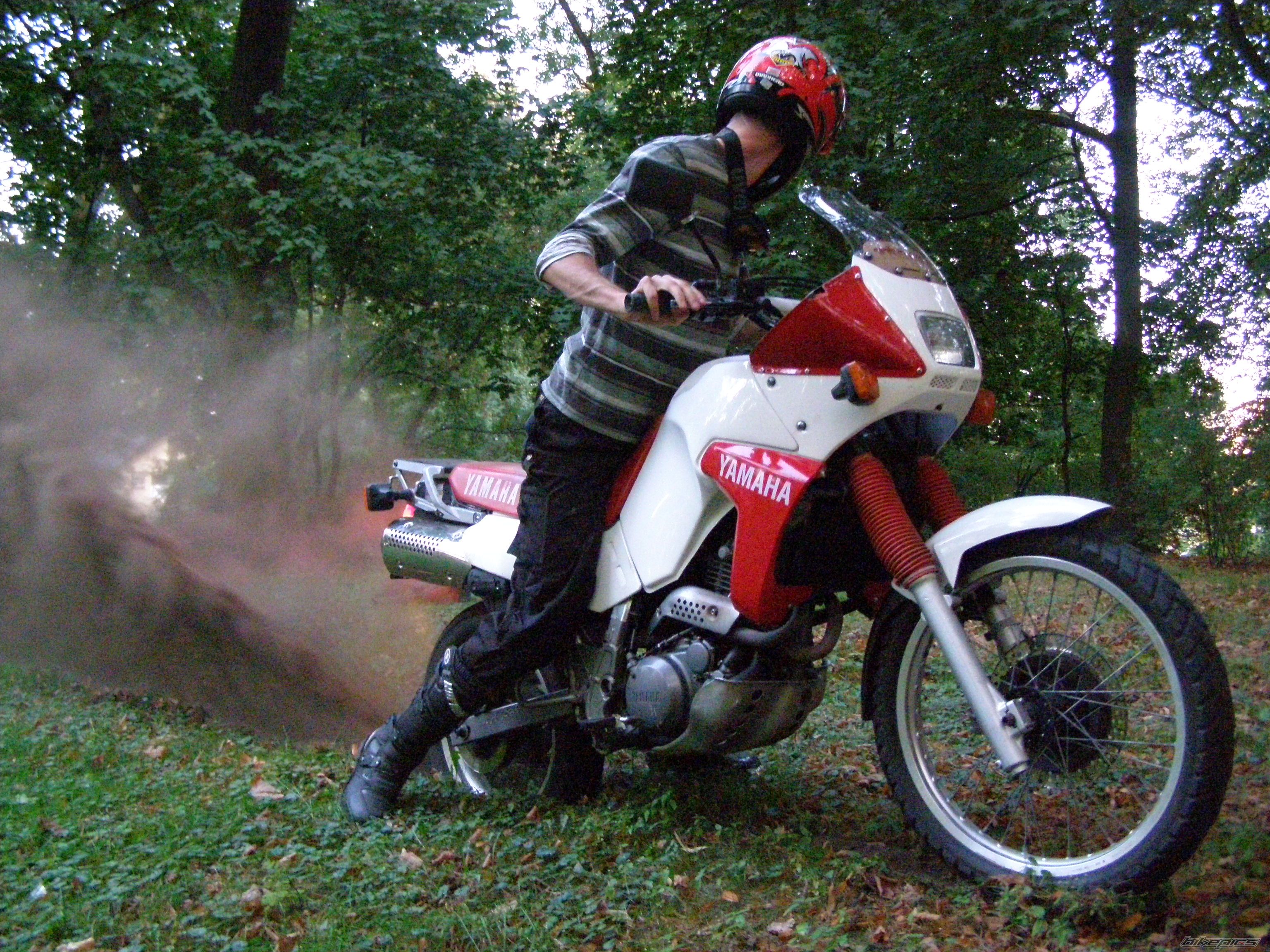 Bike Photo 1785668