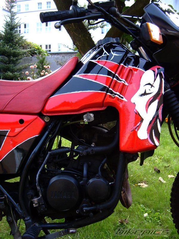 Bike Photo 1785675