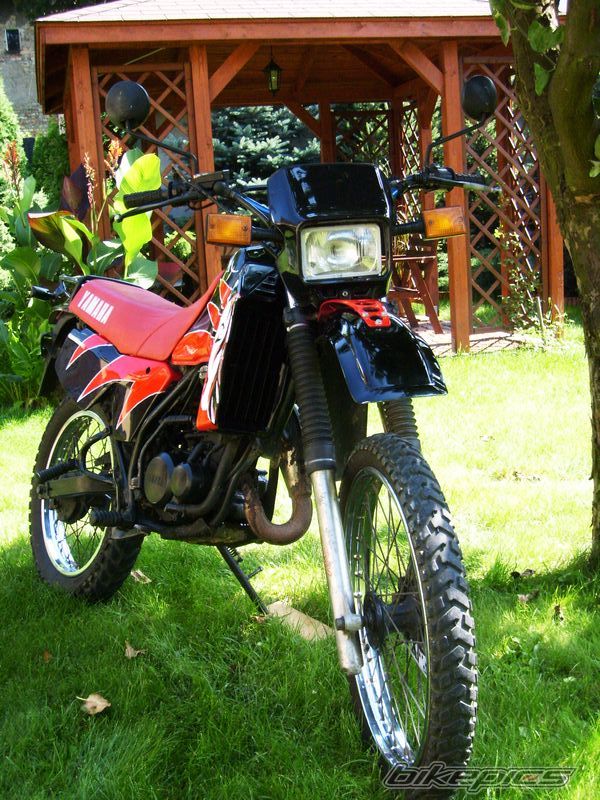 Photo 1785677