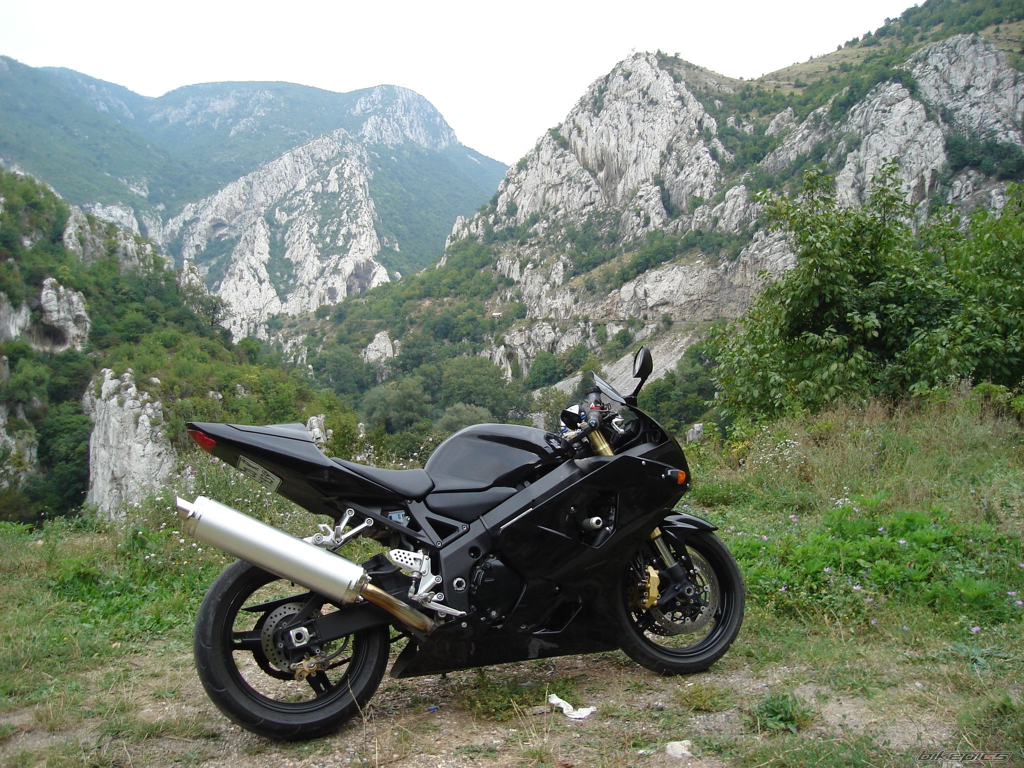 Photo 1785678