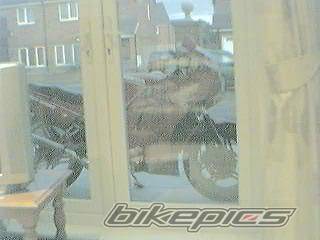 Photo 178571