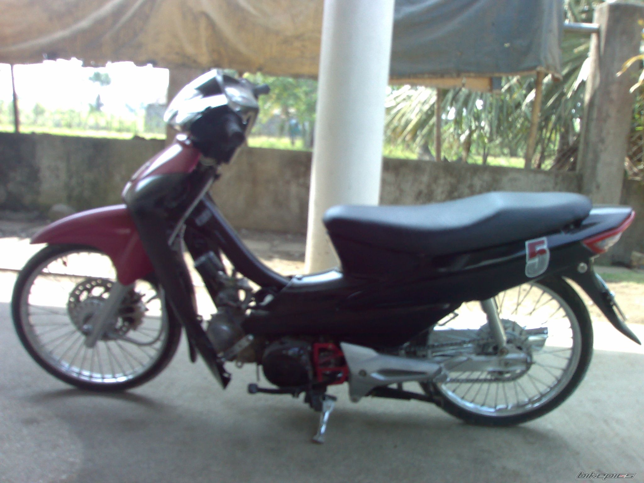 Photo 1785761