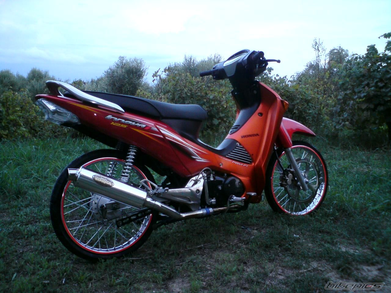Photo 1786009