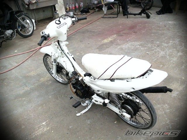 Photo 1786013
