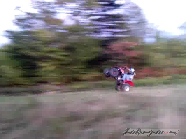 Photo 1786061