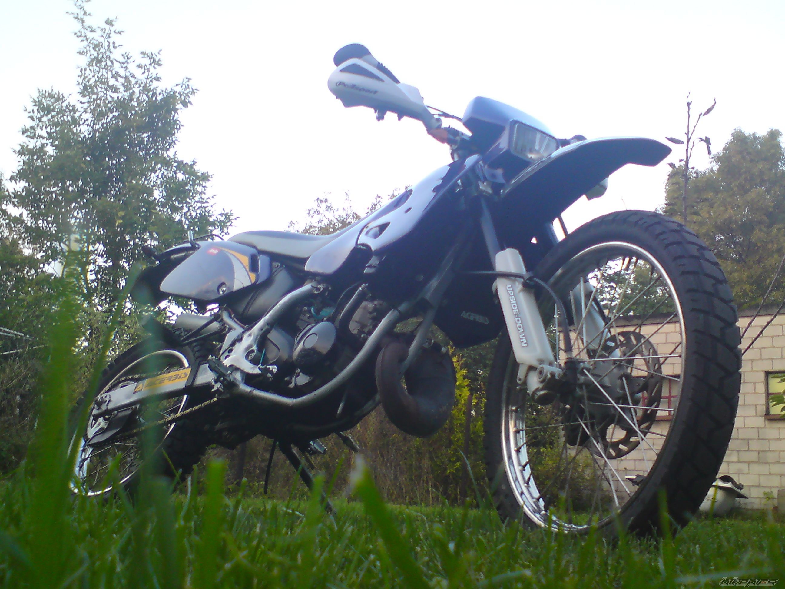Photo 1786185