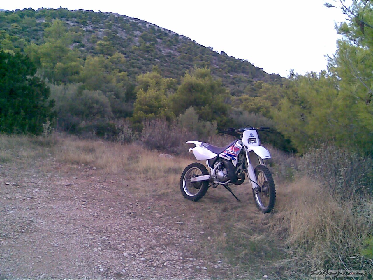 Photo 1786206