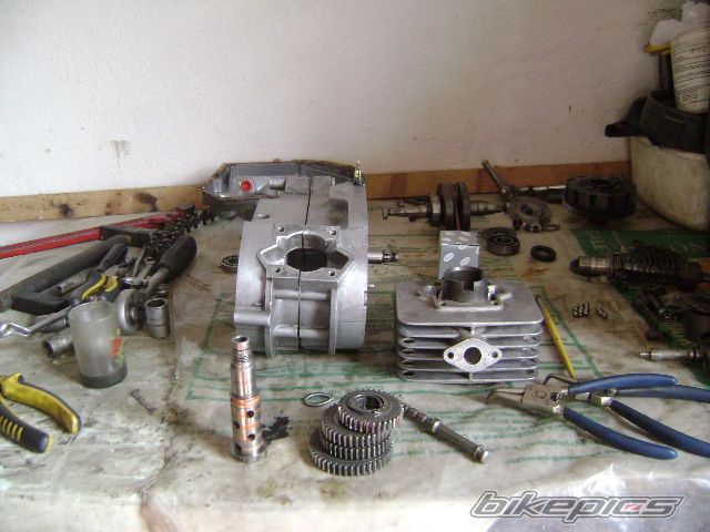 Photo 1786215