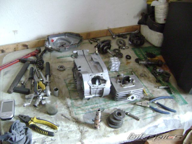 Photo 1786220