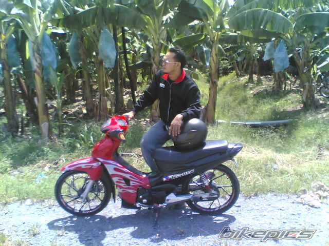 Photo 1786266