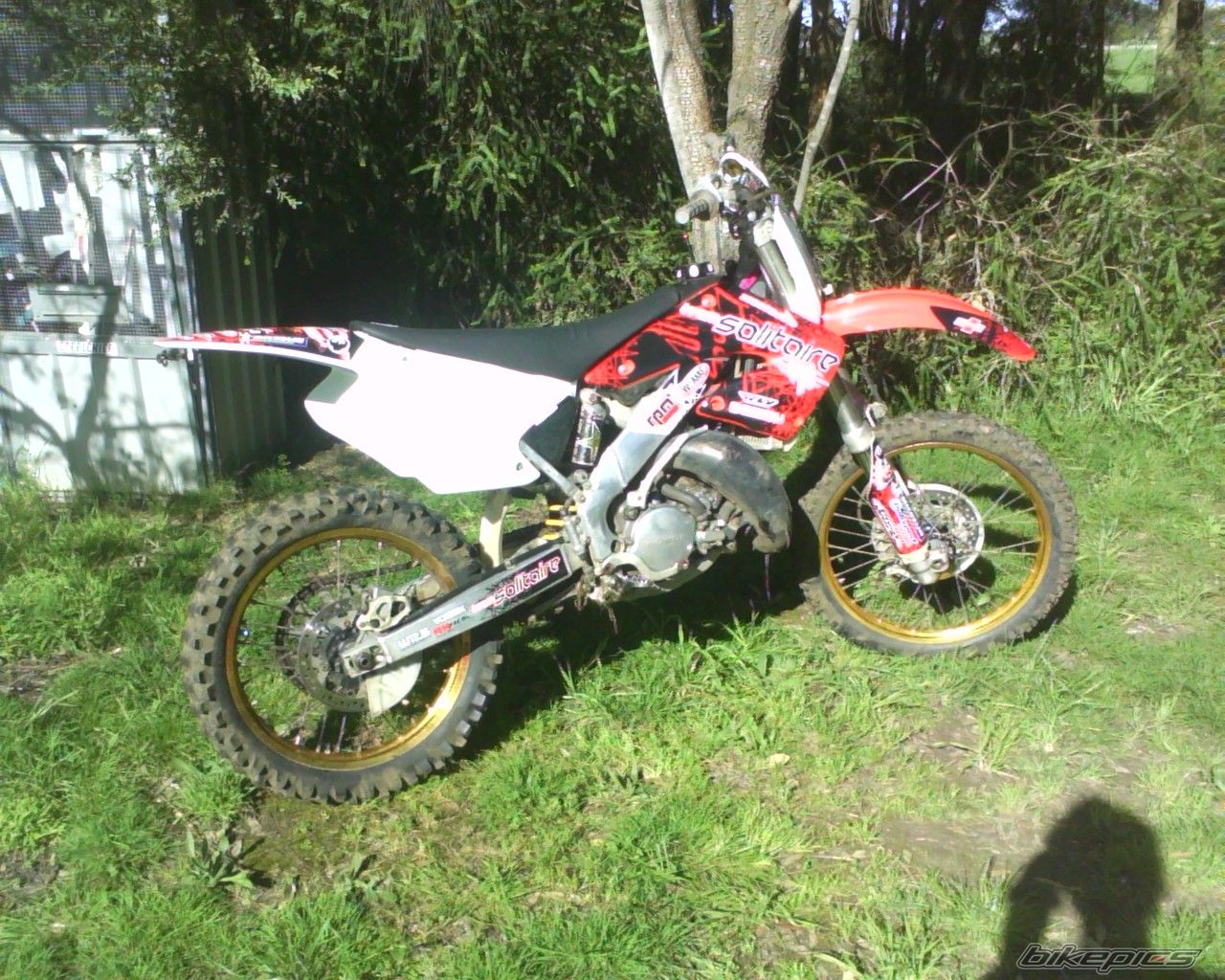Photo 1786277