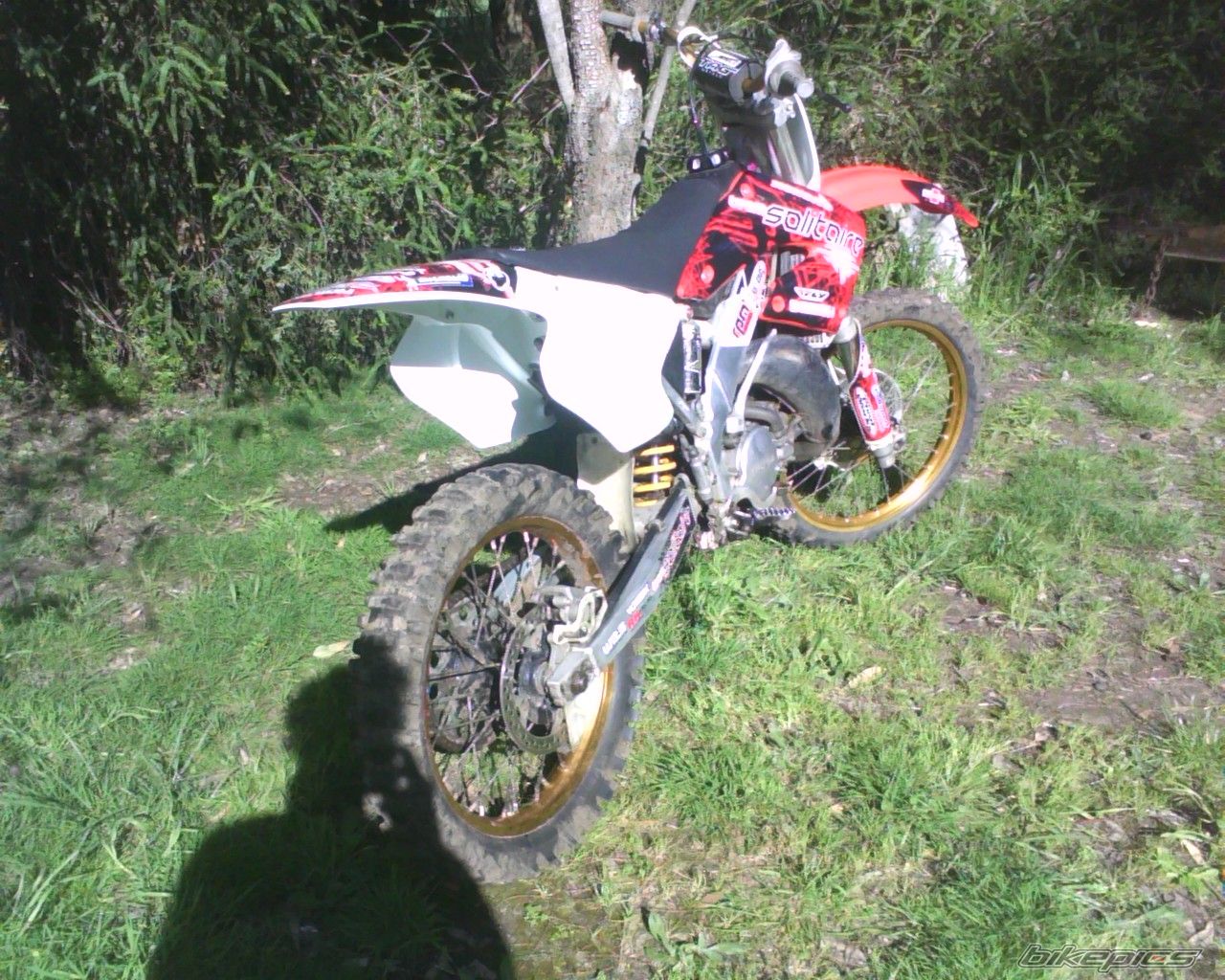 Photo 1786278