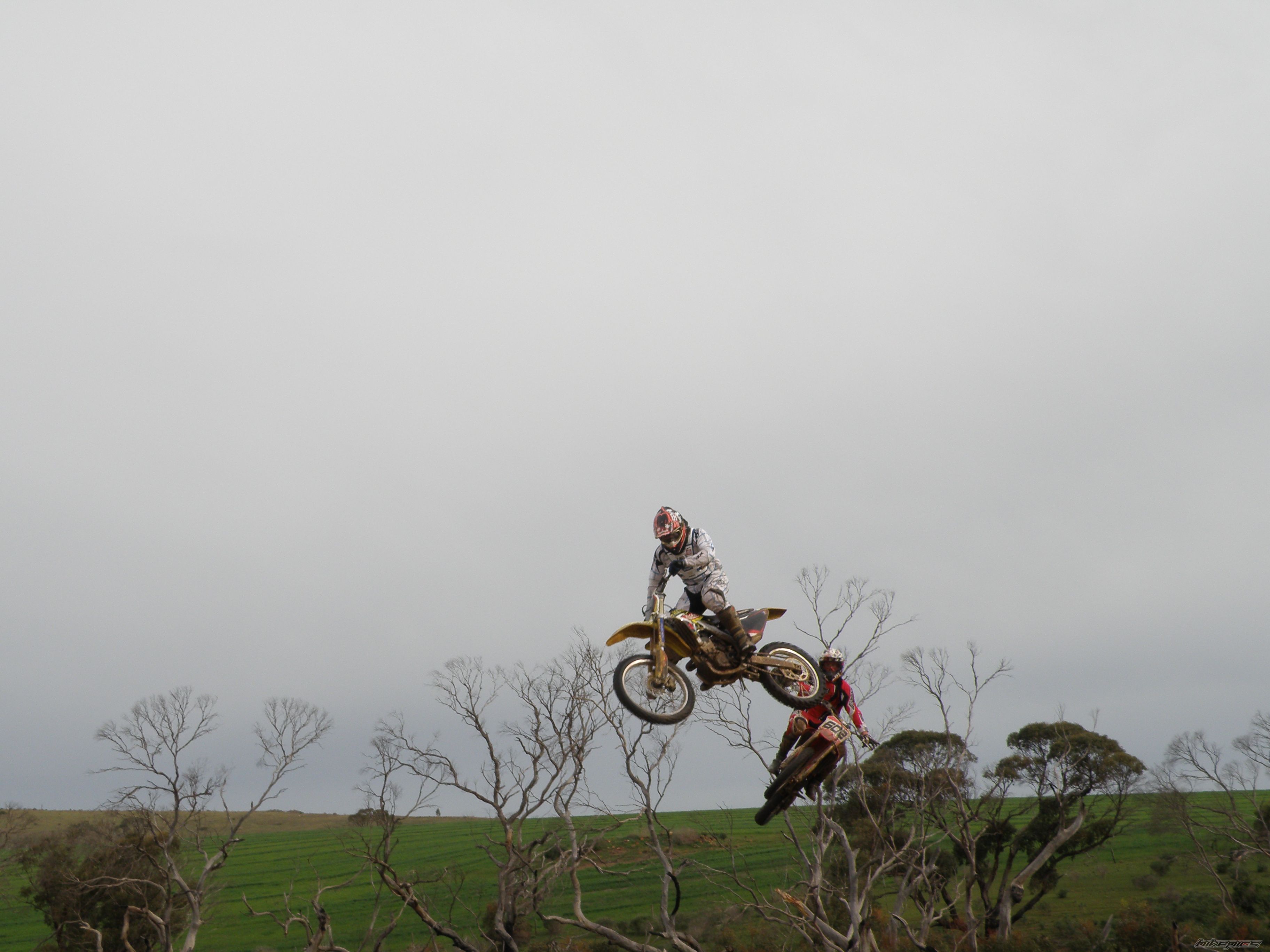 Photo 1786364