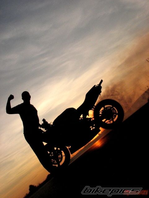 Photo 1786549