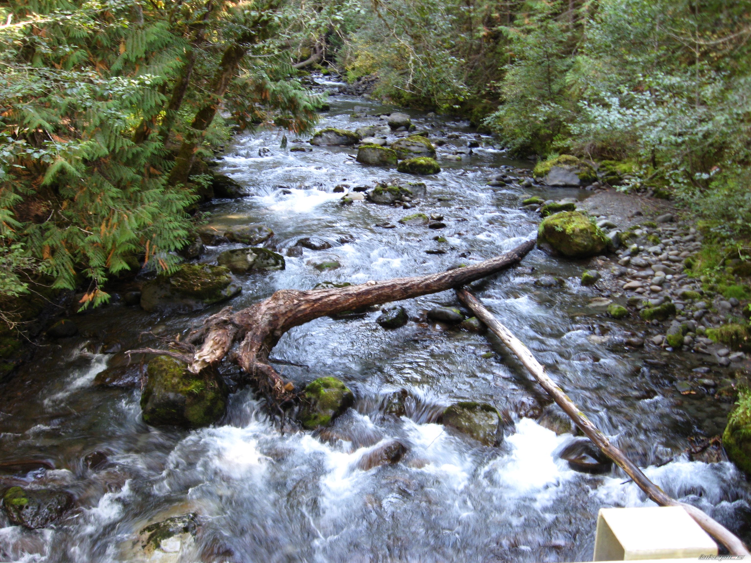 Photo 1786754