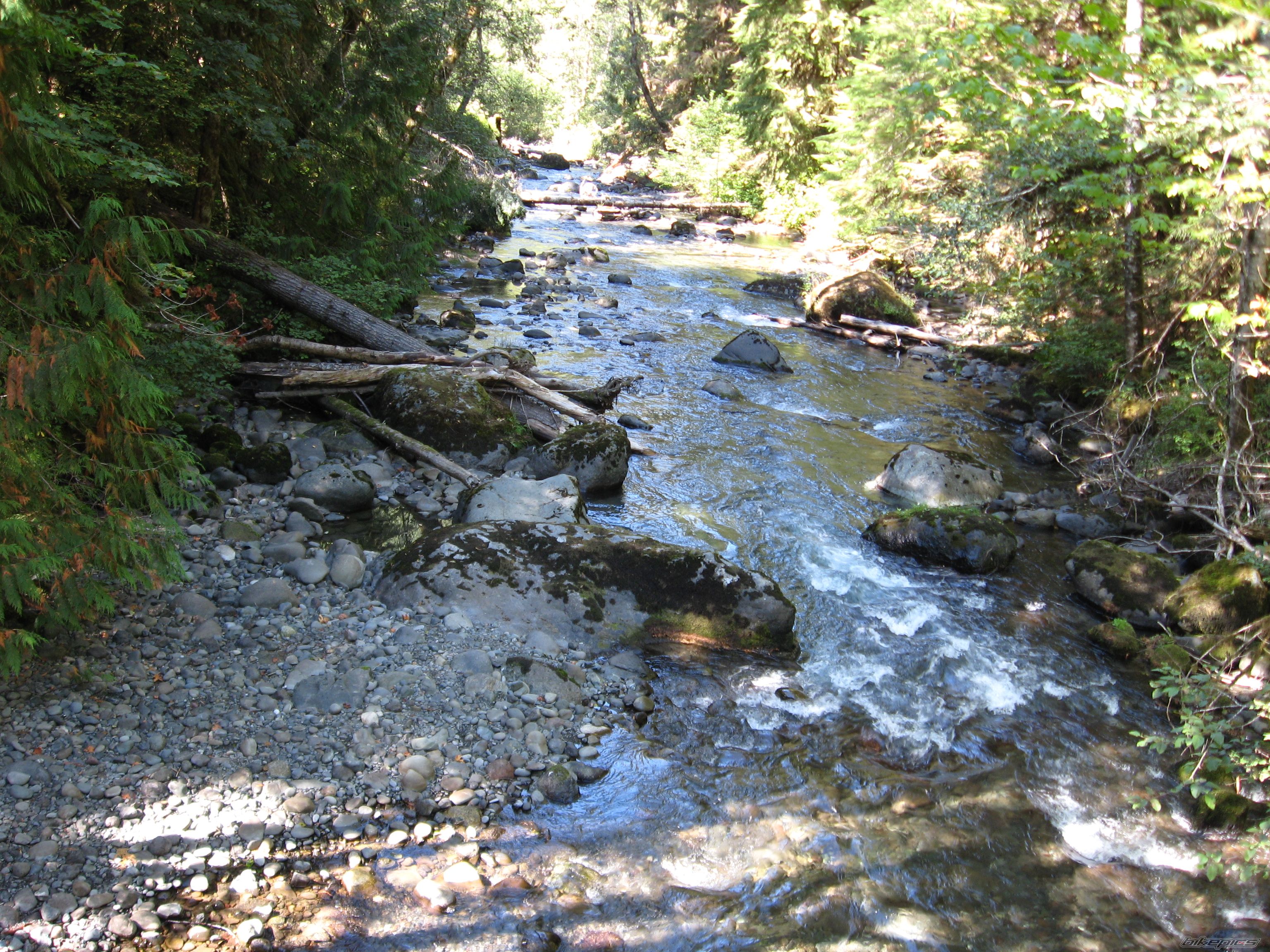 Photo 1786766