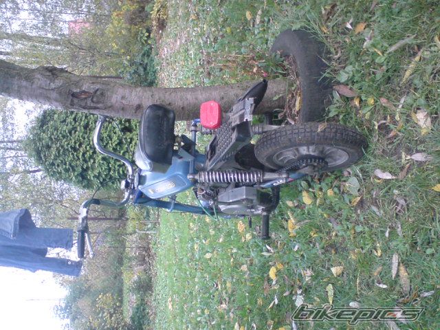 Photo 1786793