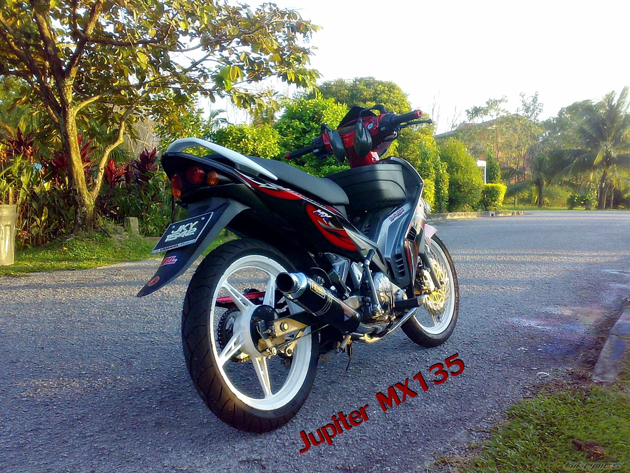 Photo 1786906