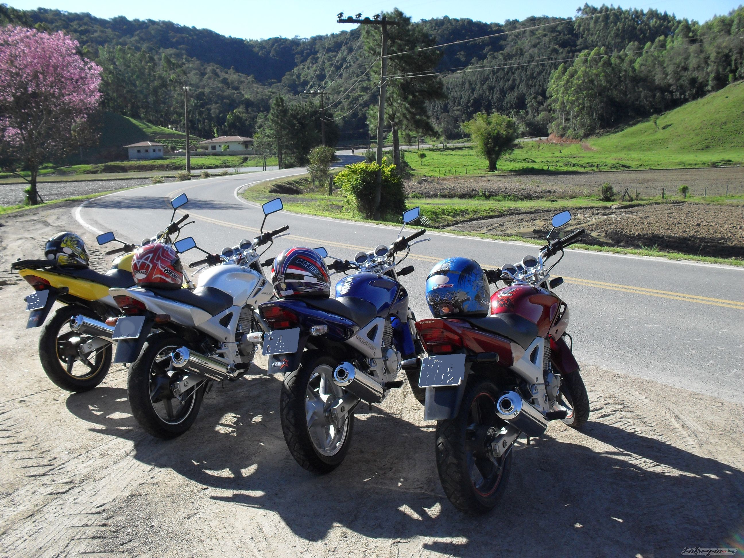 Photo 1786914