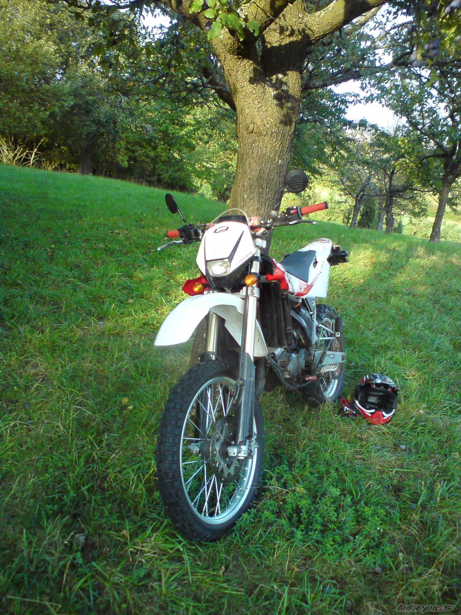 Photo 1786919