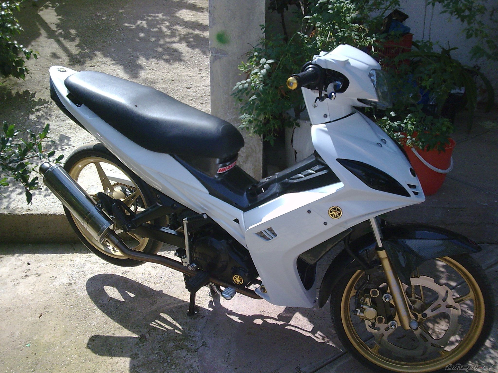 Photo 1786926
