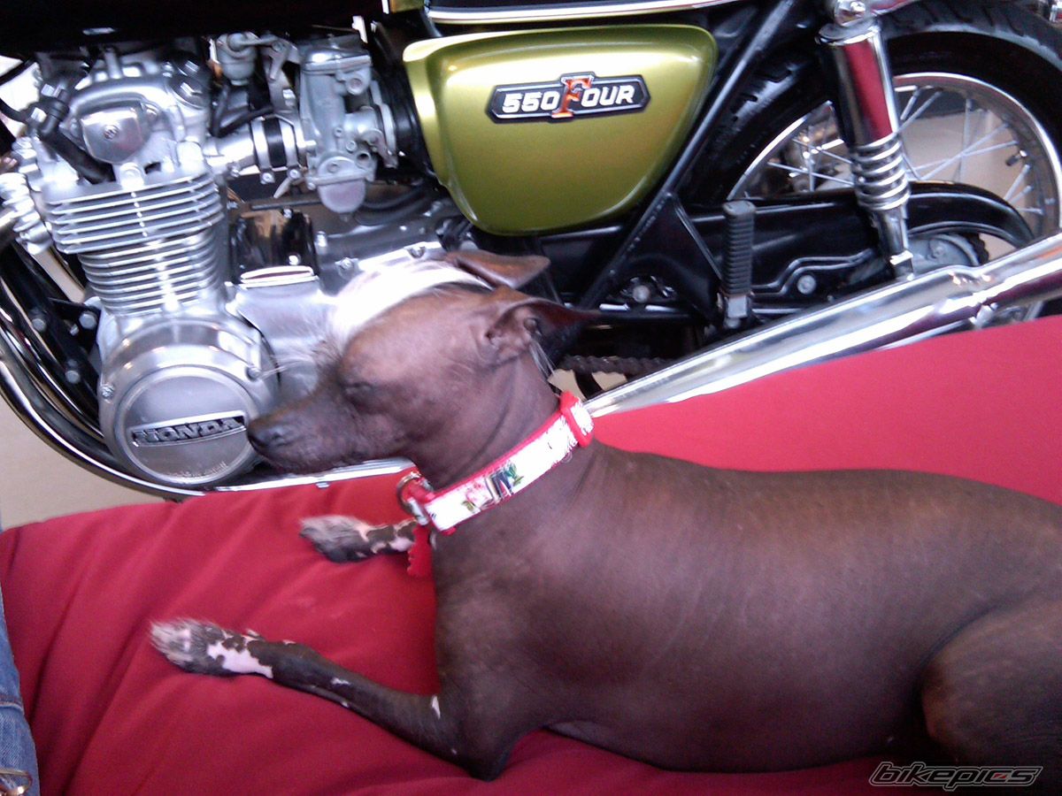 Bike Photo 1787067