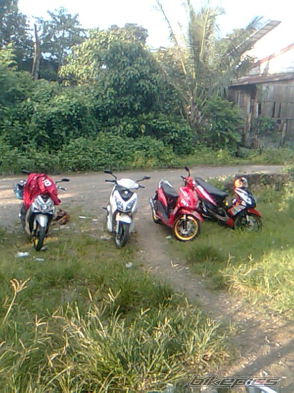Photo 1787140