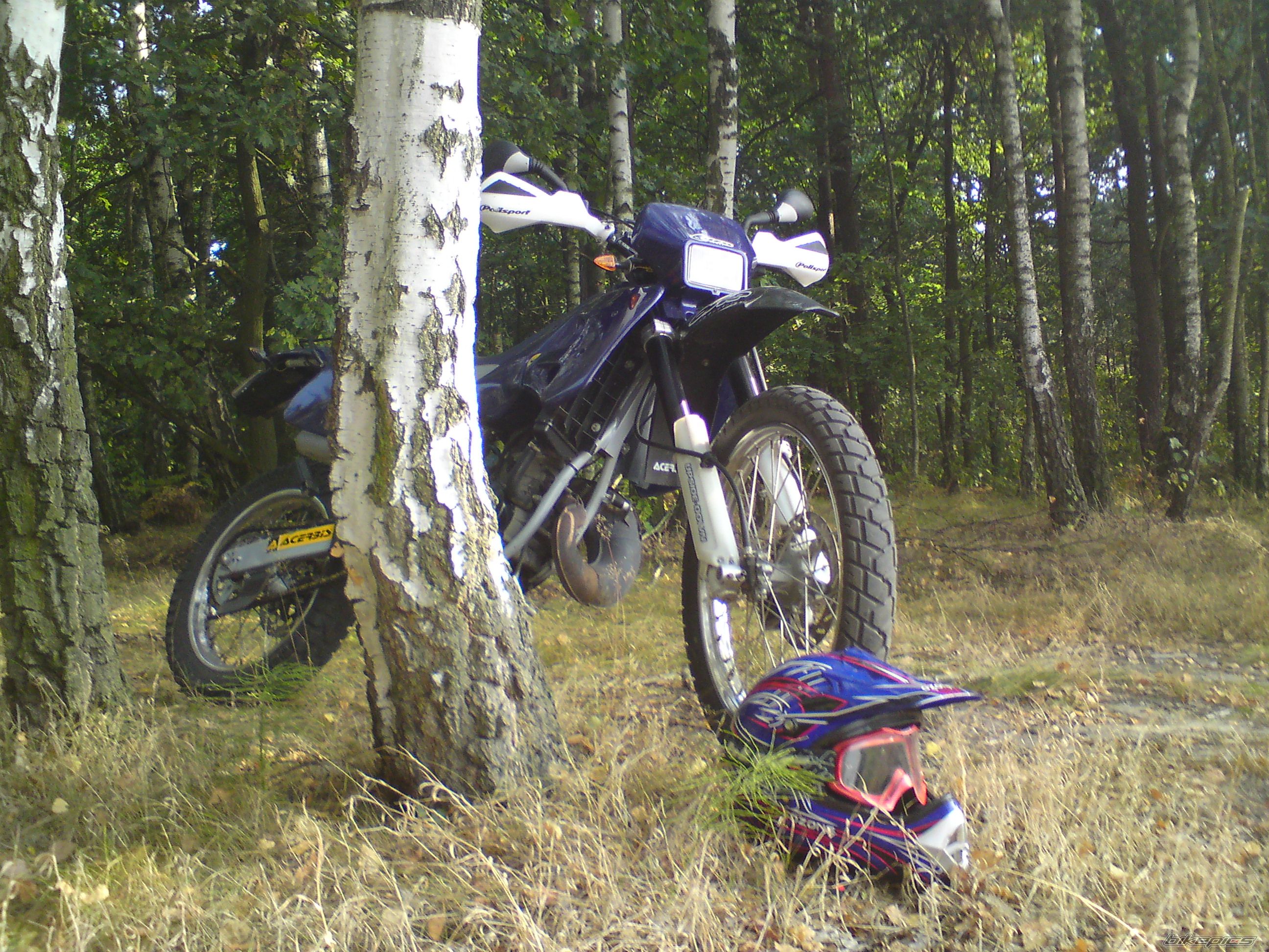 Photo 1787275