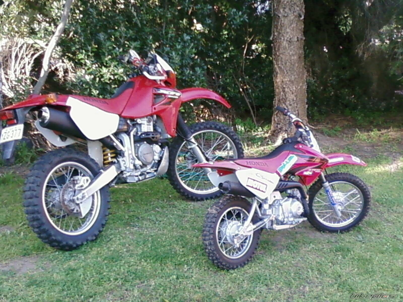 Photo 1787321