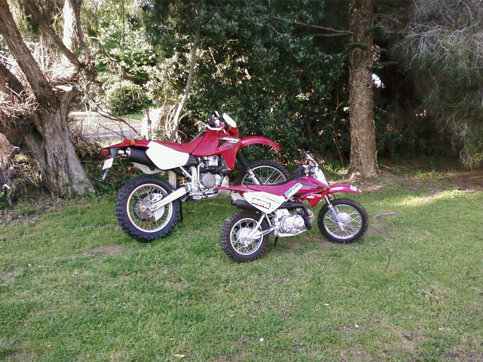 Photo 1787323
