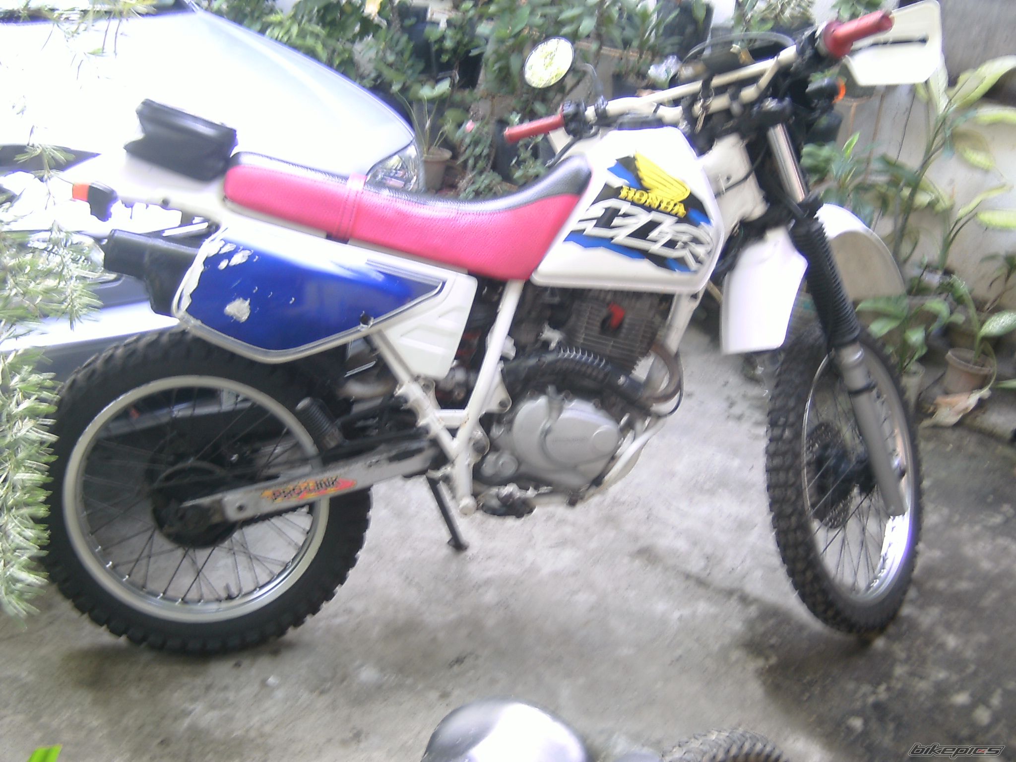 Photo 1787329
