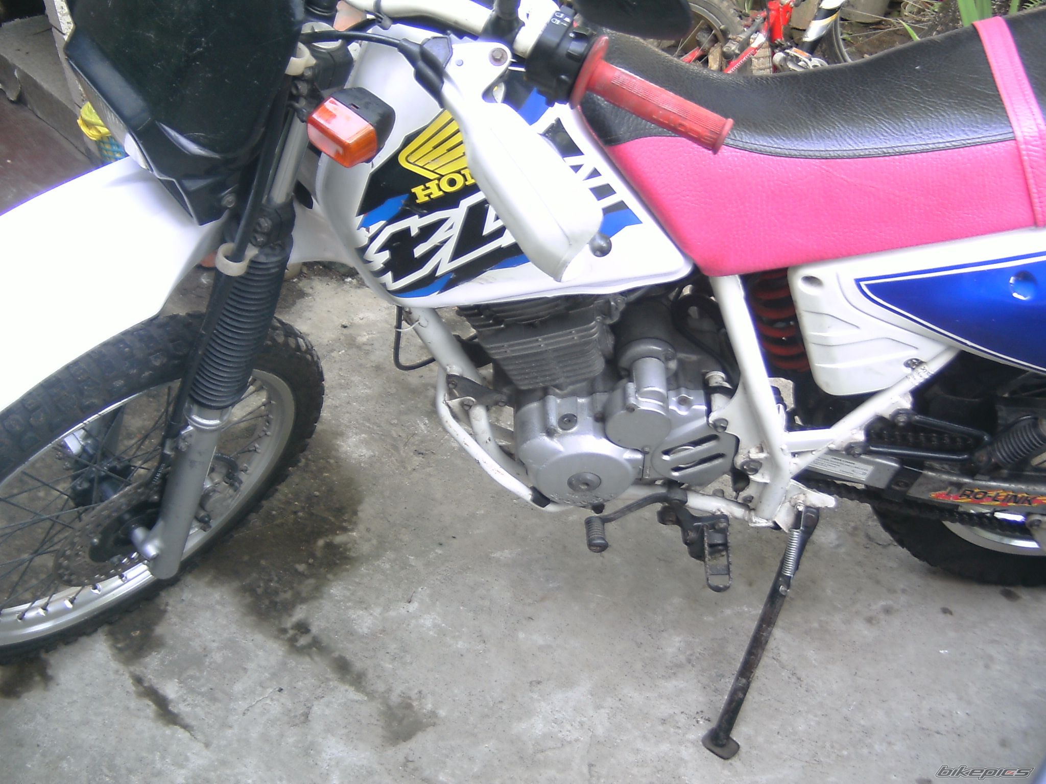 Photo 1787331