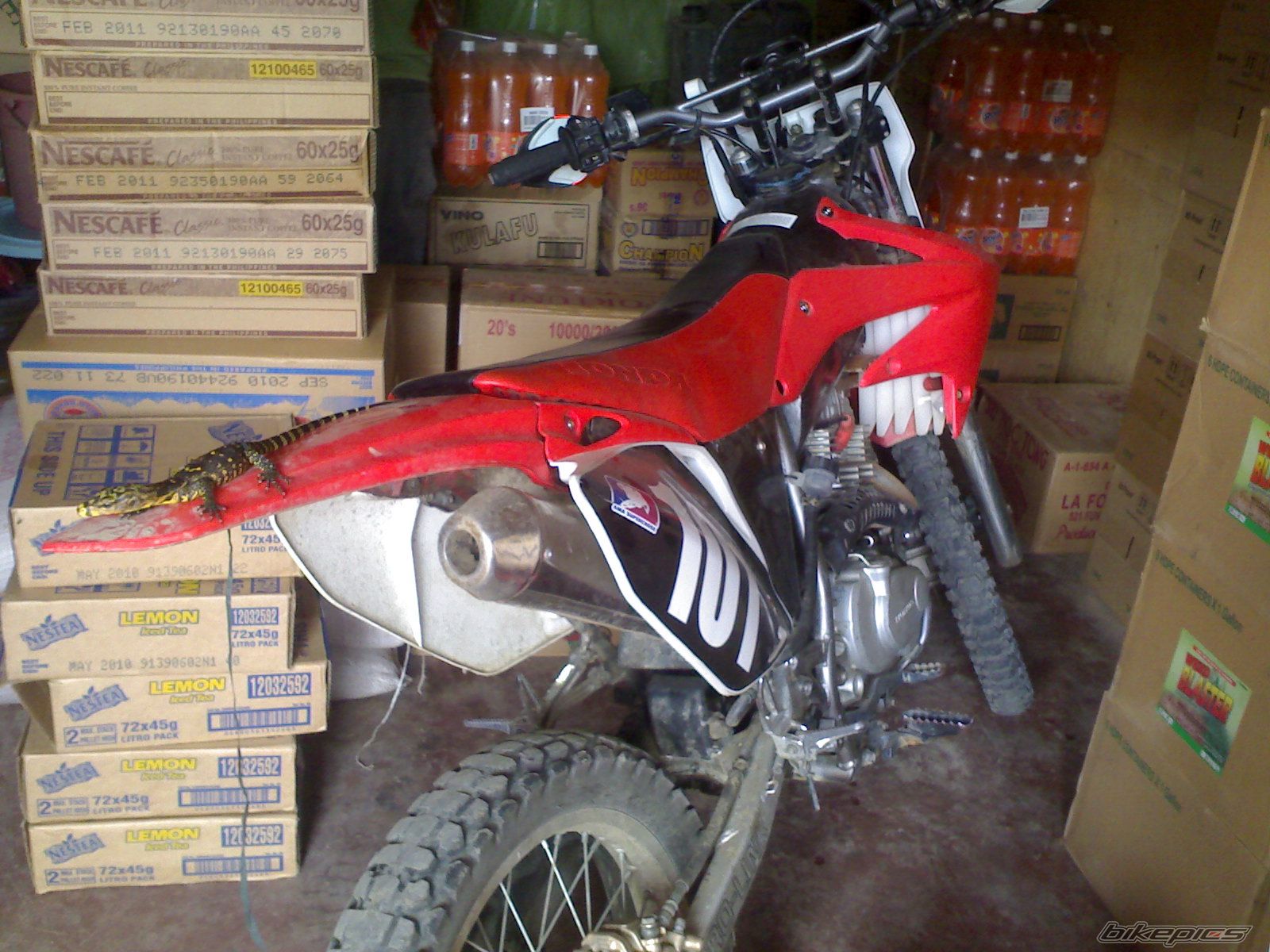 Photo 1787495