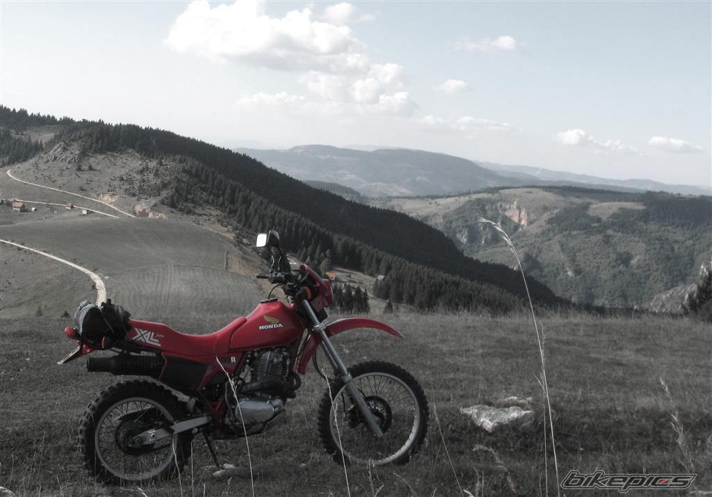 Photo 1787815