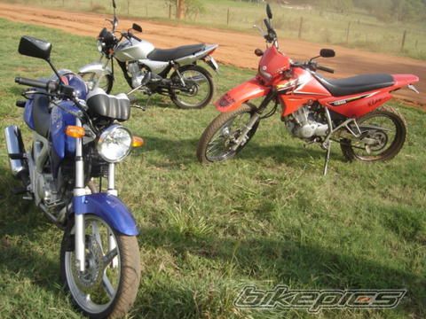 Photo 1787855