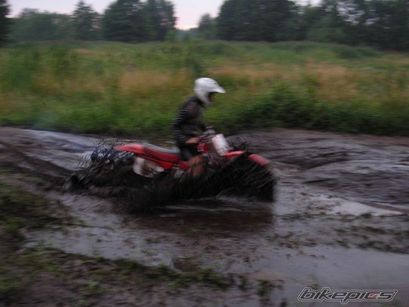 Photo 1787869