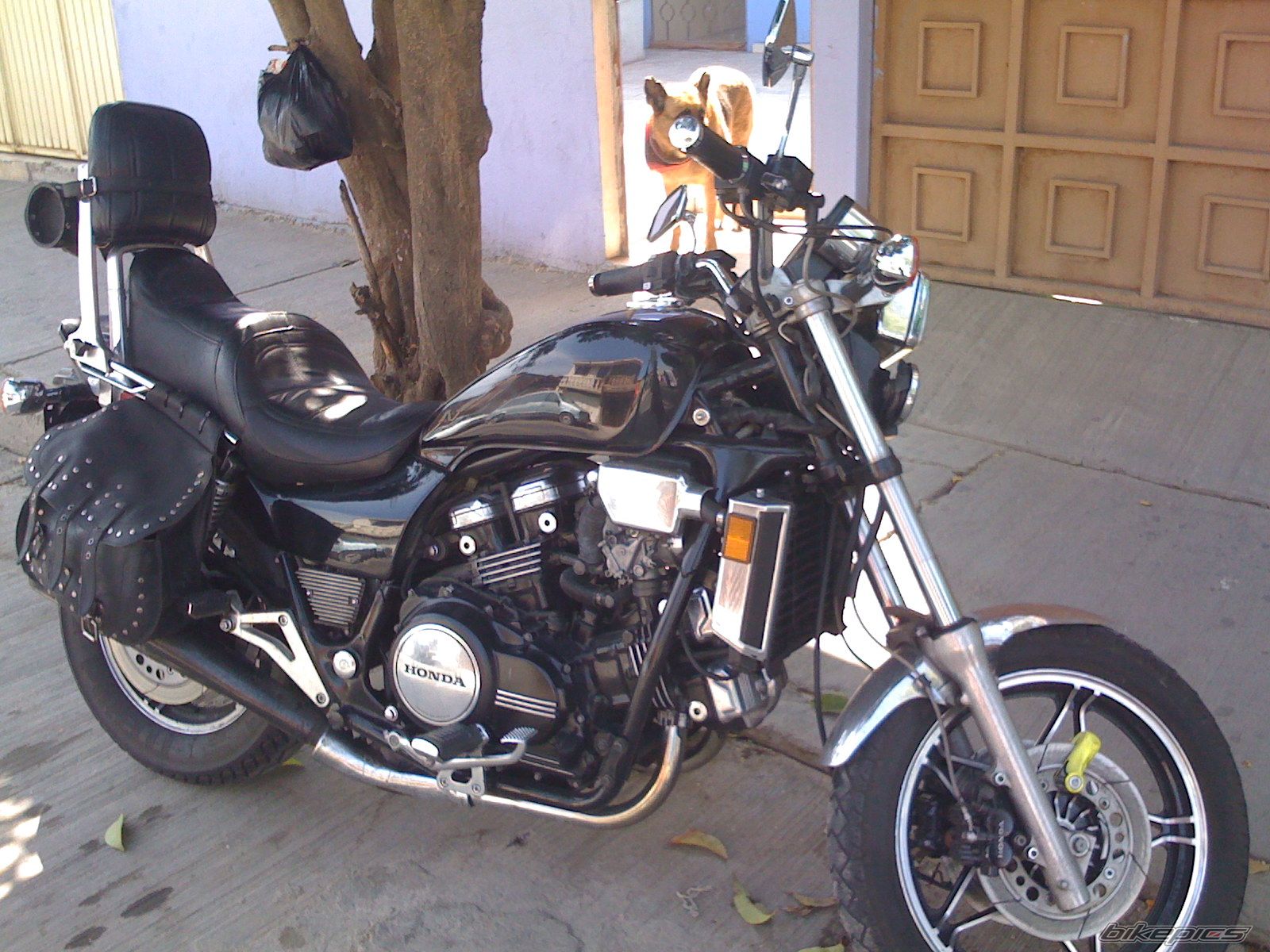 Photo 1787876