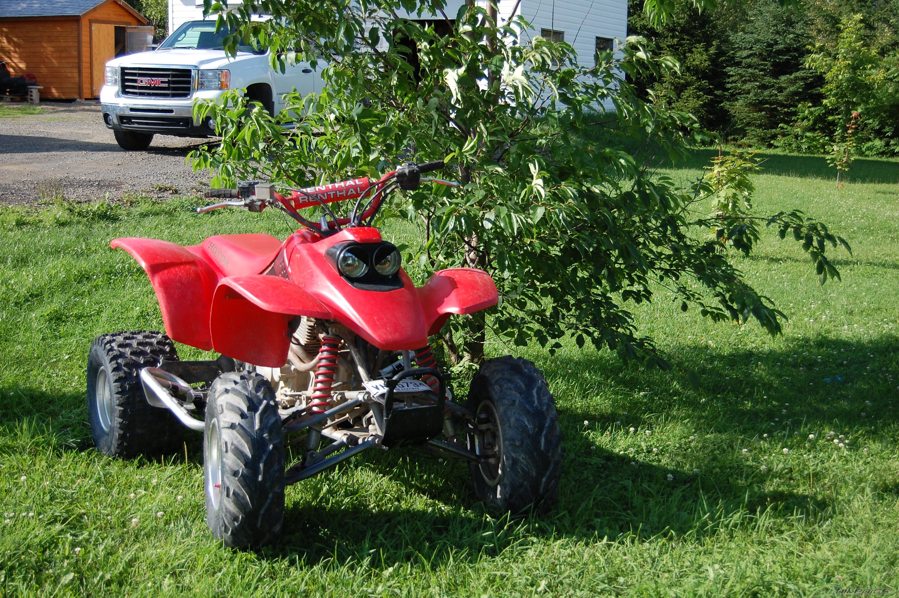 Photo 1787915